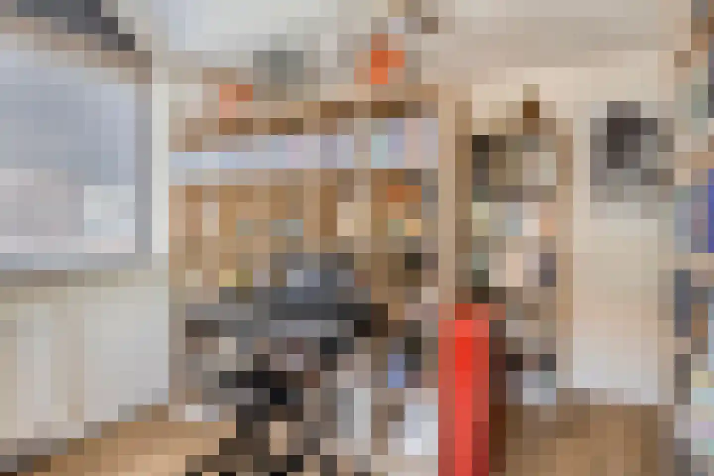 Ripstraat 19 Kamperland thumbnail 32
