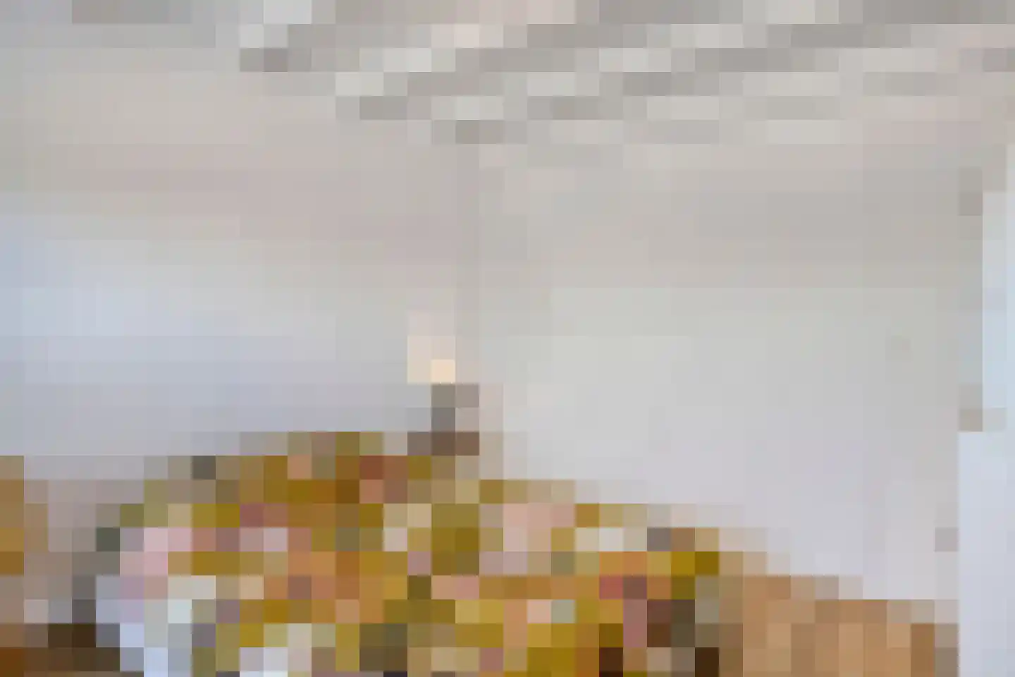 Ripstraat 19 Kamperland thumbnail 35