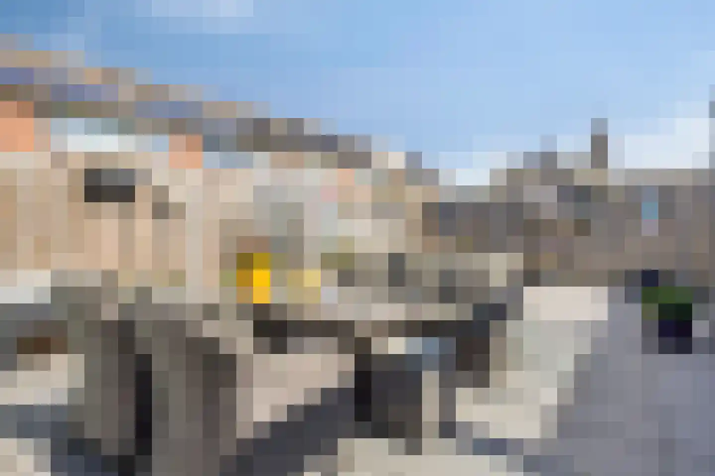 Ripstraat 19 Kamperland thumbnail 38
