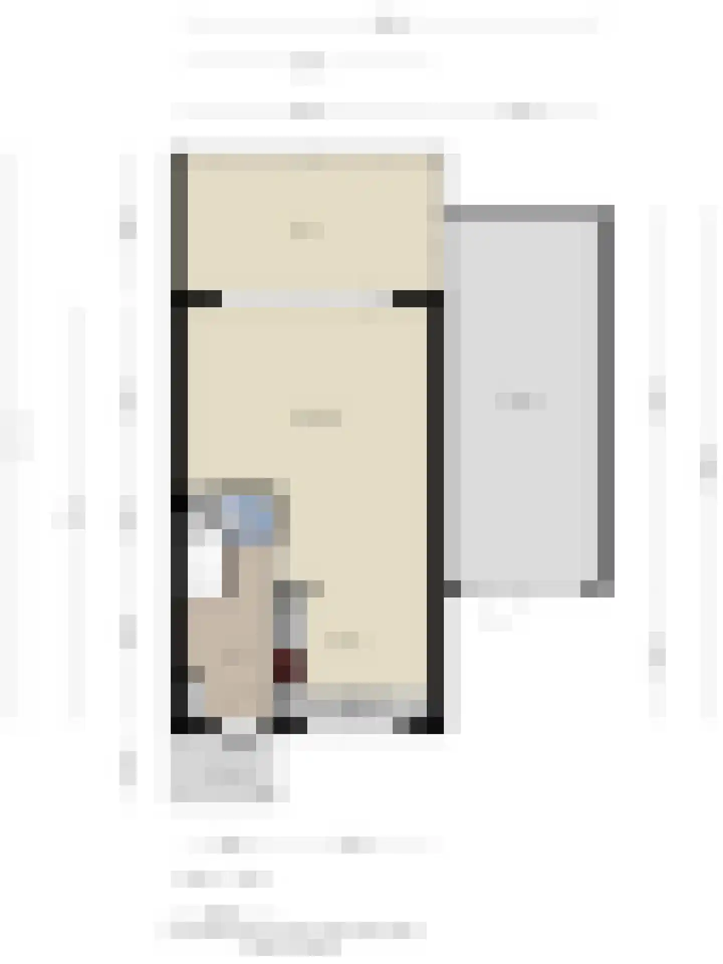 Ripstraat 19 Kamperland thumbnail 42