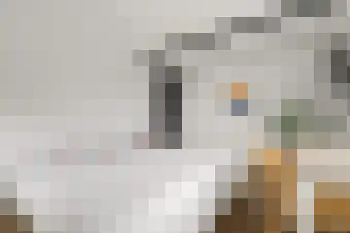 Ripstraat 21 Kamperland thumbnail 11