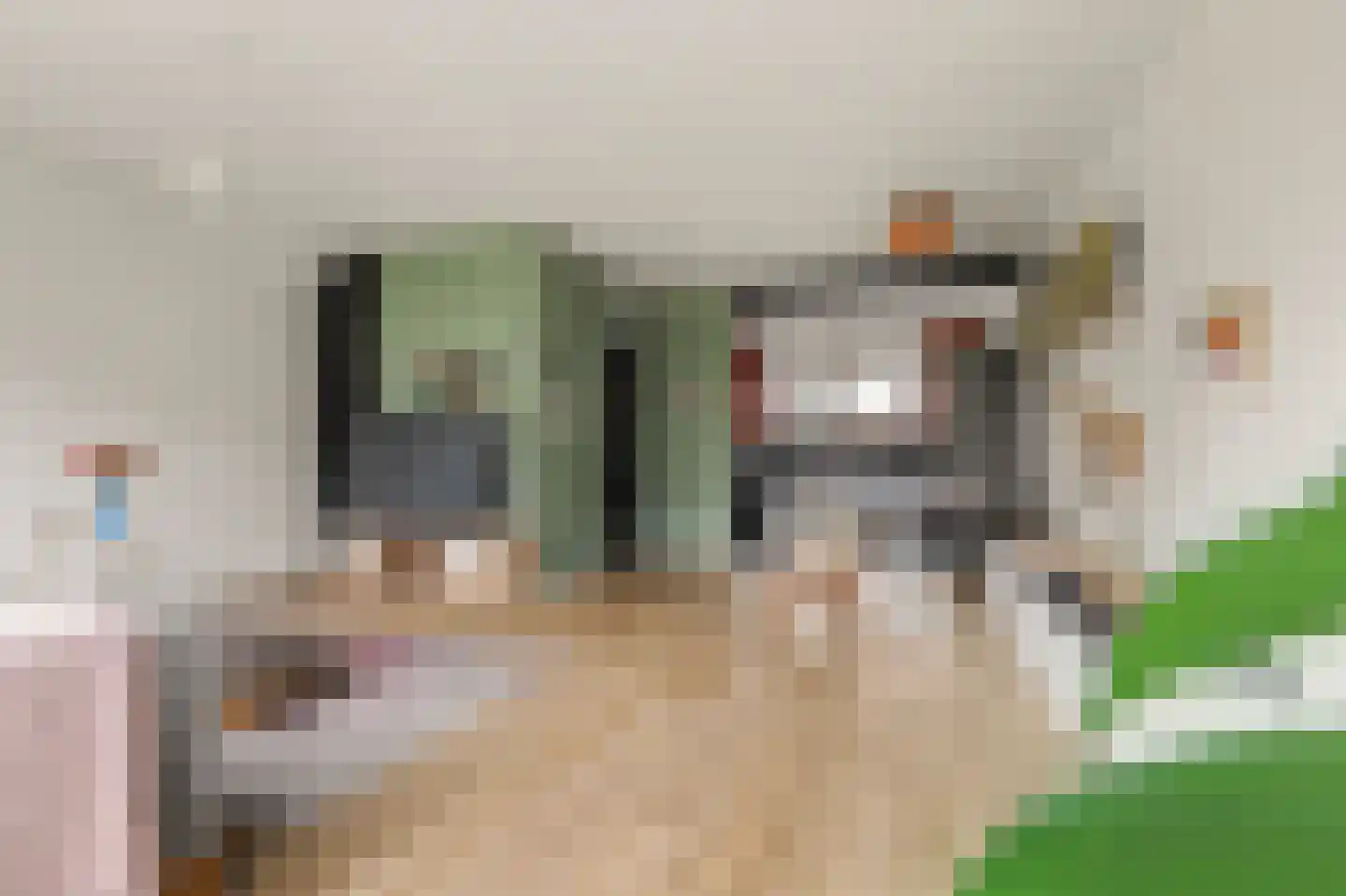 Ripstraat 21 Kamperland thumbnail 11