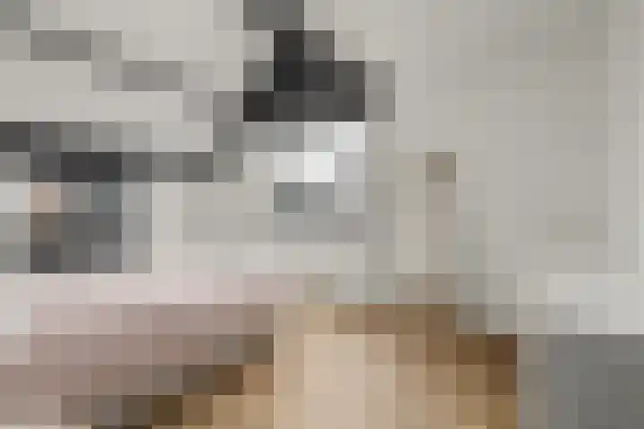 Ripstraat 21 Kamperland thumbnail 12