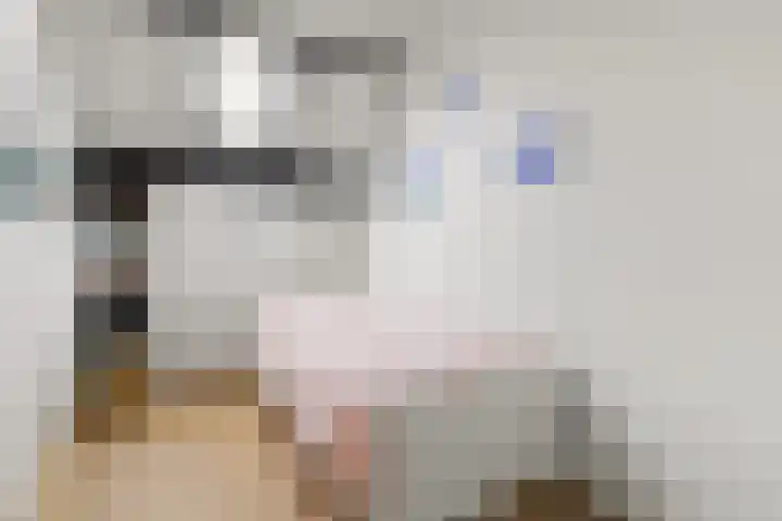 Ripstraat 21 Kamperland thumbnail 13