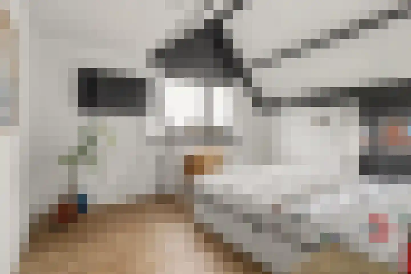 Ripstraat 21 Kamperland thumbnail 14