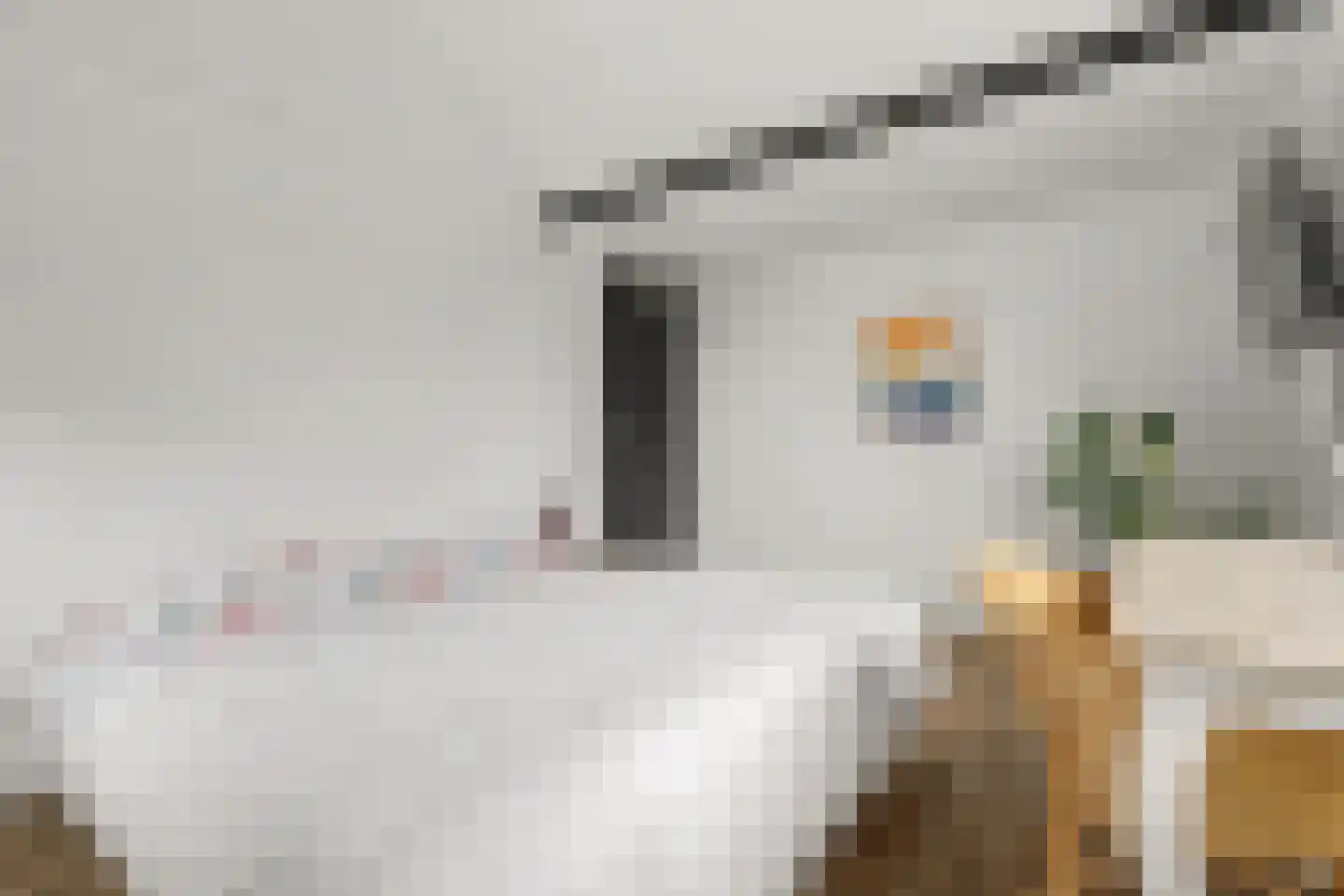 Ripstraat 21 Kamperland thumbnail 15