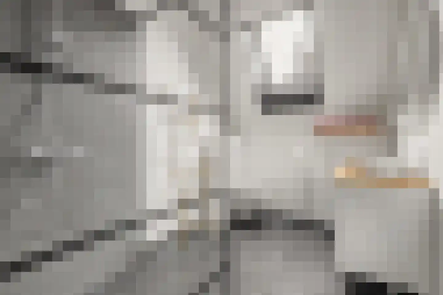 Ripstraat 21 Kamperland thumbnail 16
