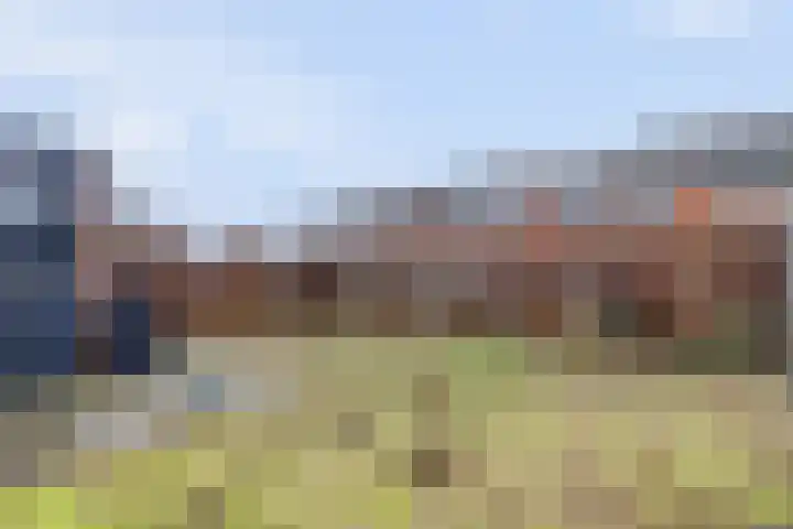 Ripstraat 21 Kamperland thumbnail 18