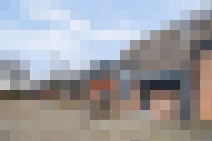 Ripstraat 21 Kamperland thumbnail 19