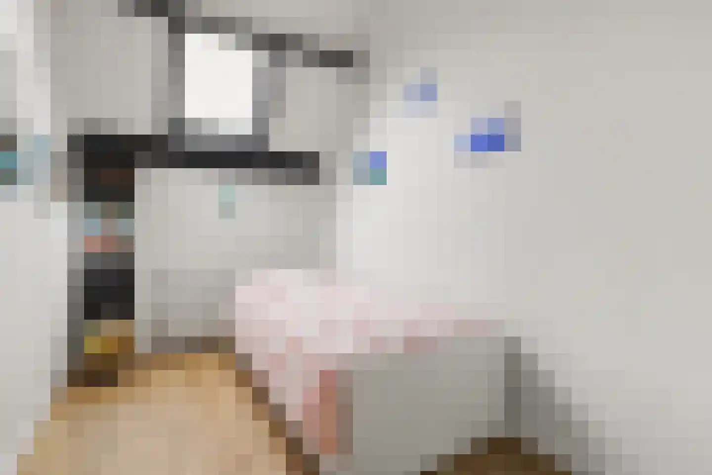 Ripstraat 21 Kamperland thumbnail 20