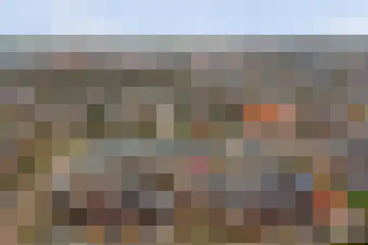Ripstraat 21 Kamperland thumbnail 21