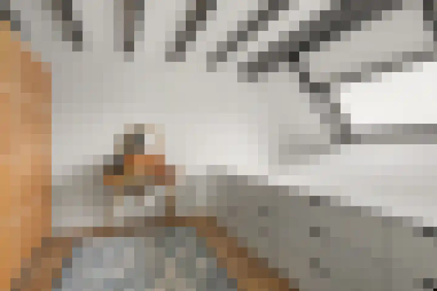 Ripstraat 21 Kamperland thumbnail 21