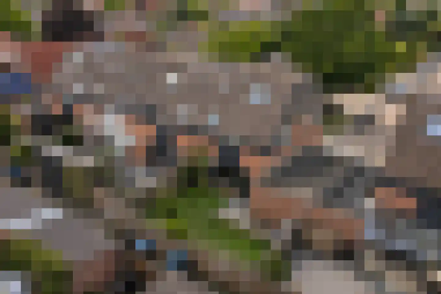 Ripstraat 21 Kamperland thumbnail 22