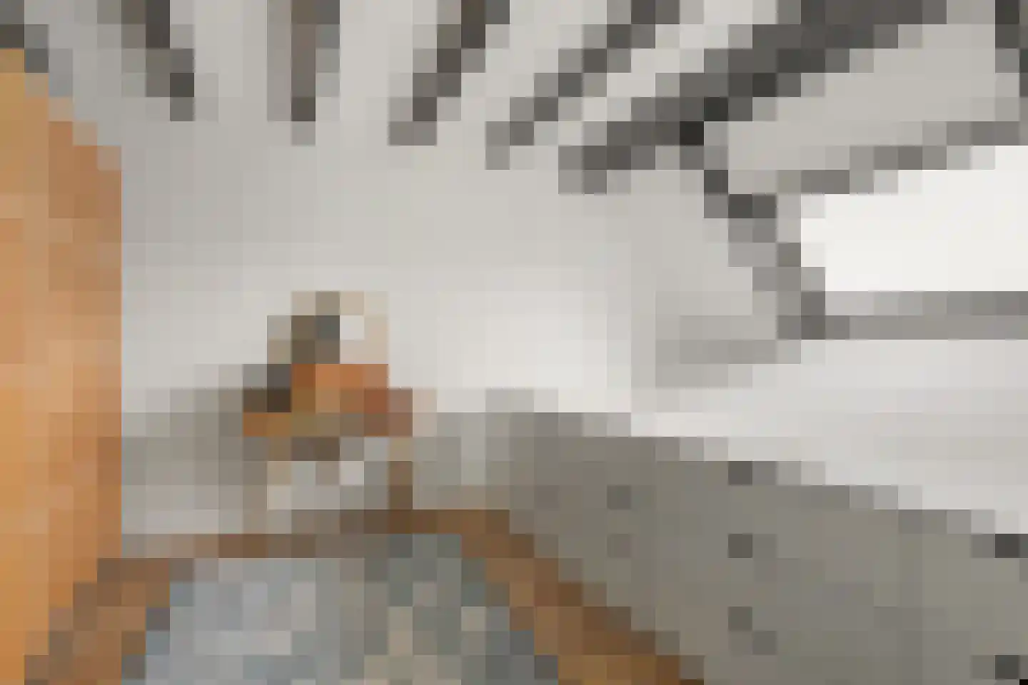 Ripstraat 21 Kamperland thumbnail 22