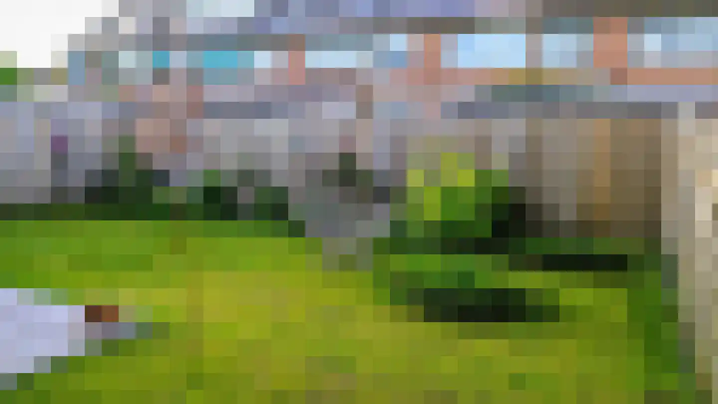 Ripstraat 21 Kamperland thumbnail 23