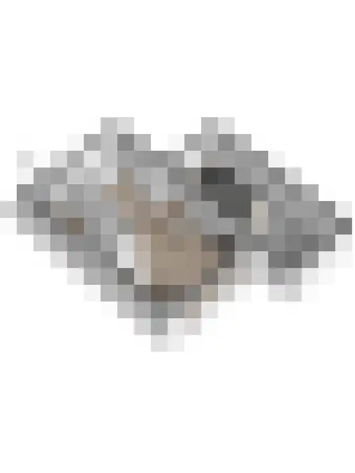 Ripstraat 21 Kamperland thumbnail 27