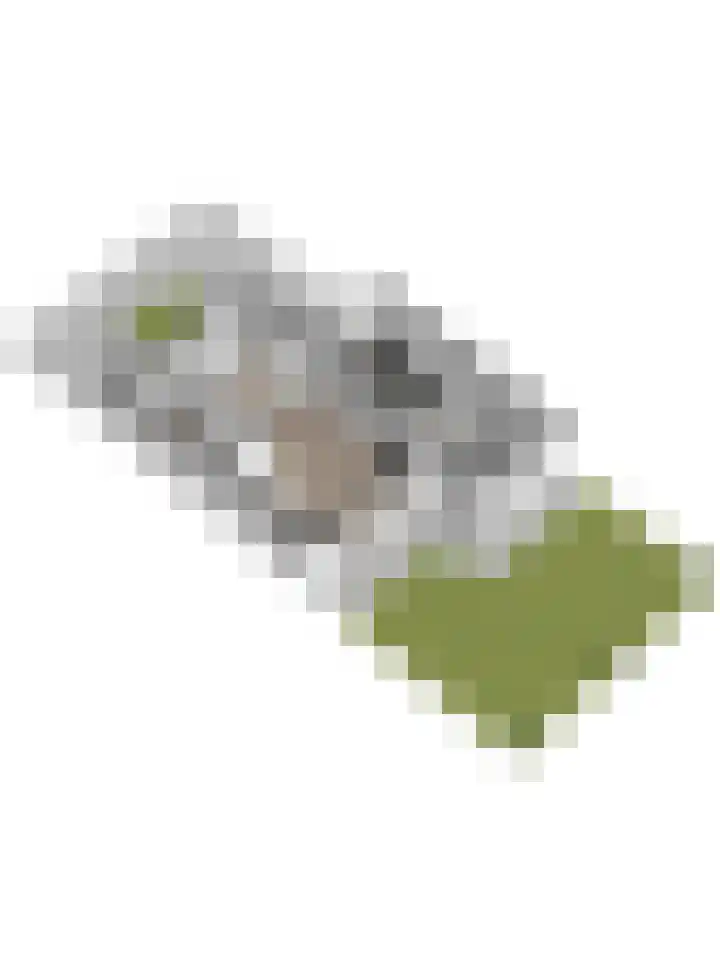 Ripstraat 21 Kamperland thumbnail 30