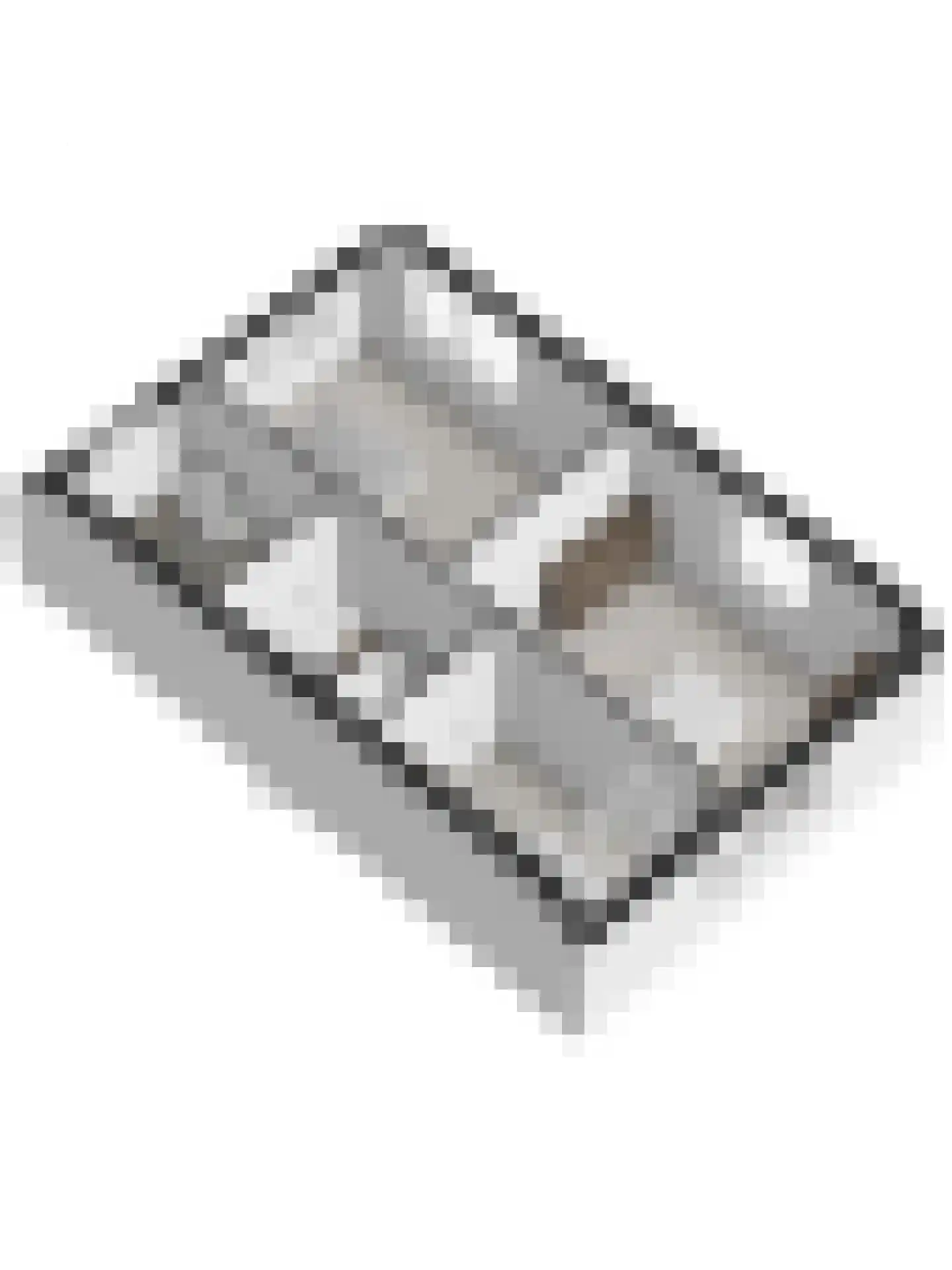 Ripstraat 21 Kamperland thumbnail 32