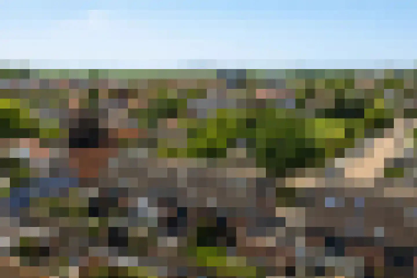Ripstraat 21 Kamperland thumbnail 4