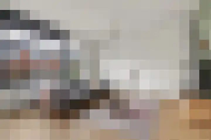 Ripstraat 21 Kamperland thumbnail 5
