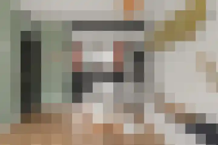 Ripstraat 21 Kamperland thumbnail 6