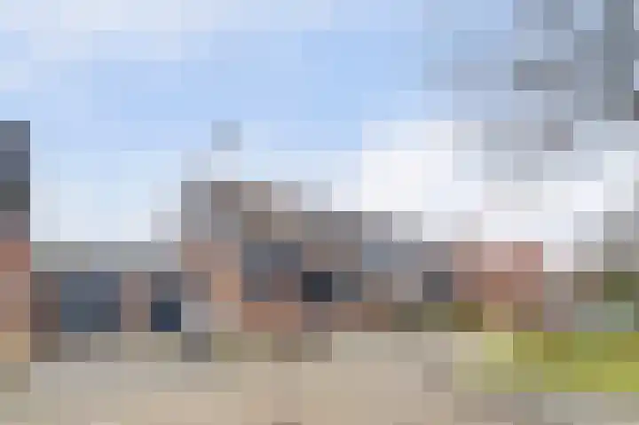 Ripstraat 21 Kamperland thumbnail 8