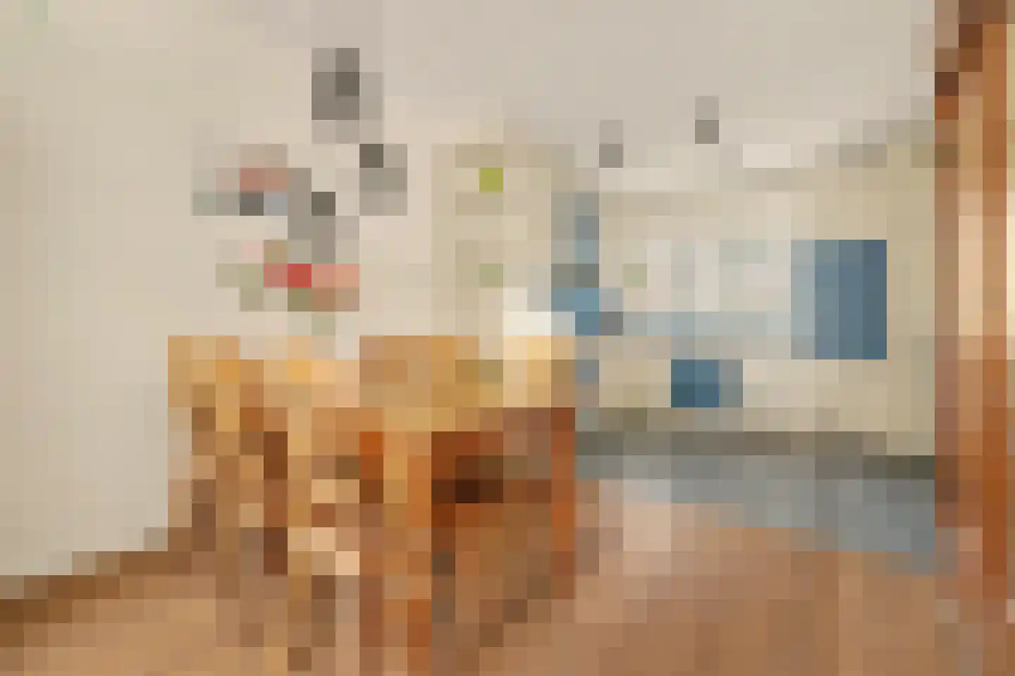 Ripstraat 4 Kamperland thumbnail 11