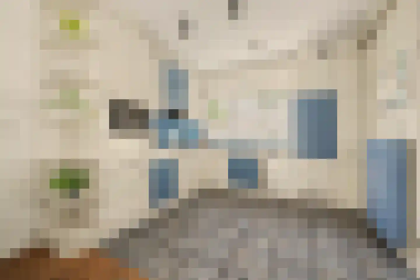 Ripstraat 4 Kamperland thumbnail 12