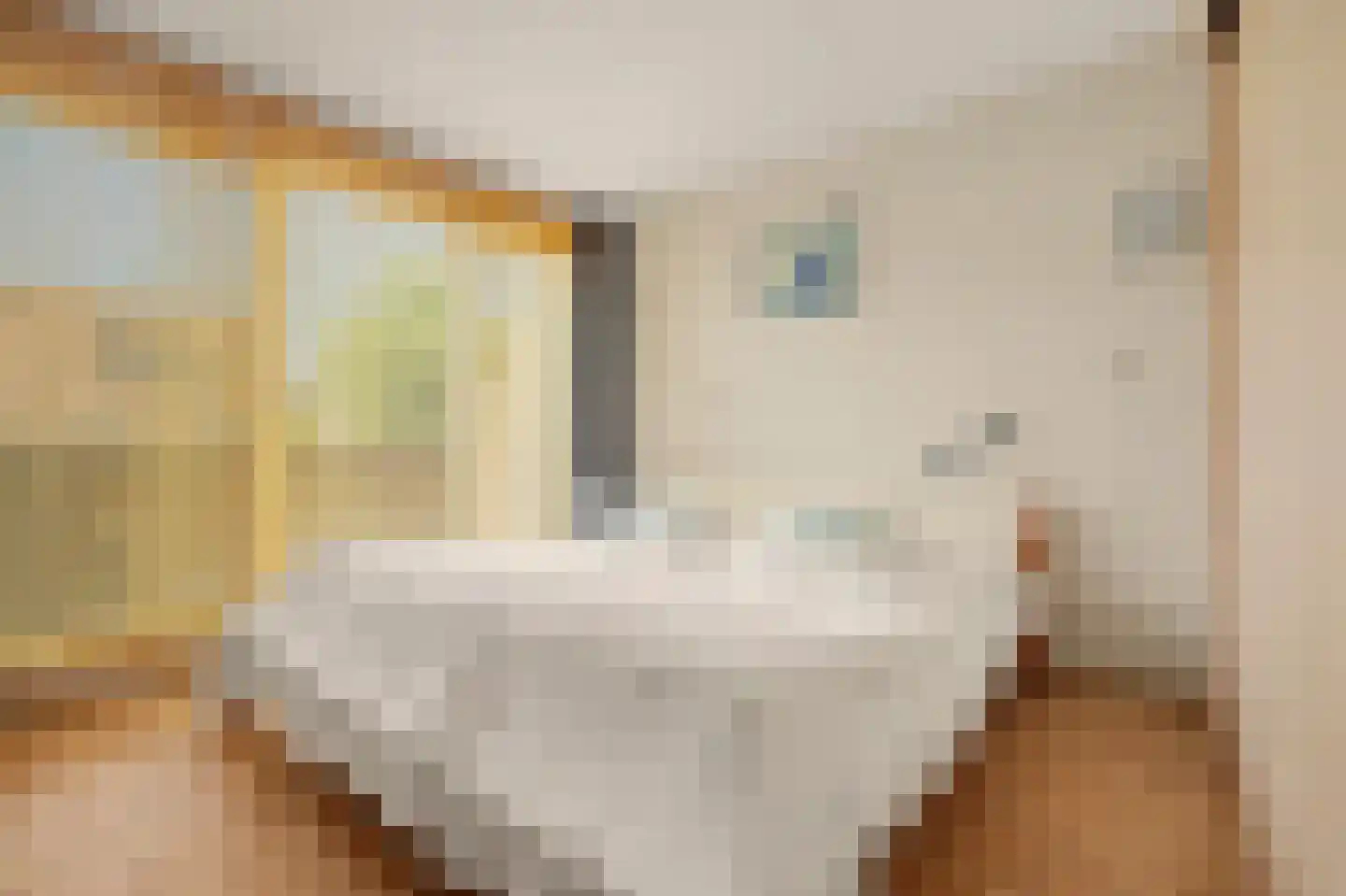 Ripstraat 4 Kamperland thumbnail 15