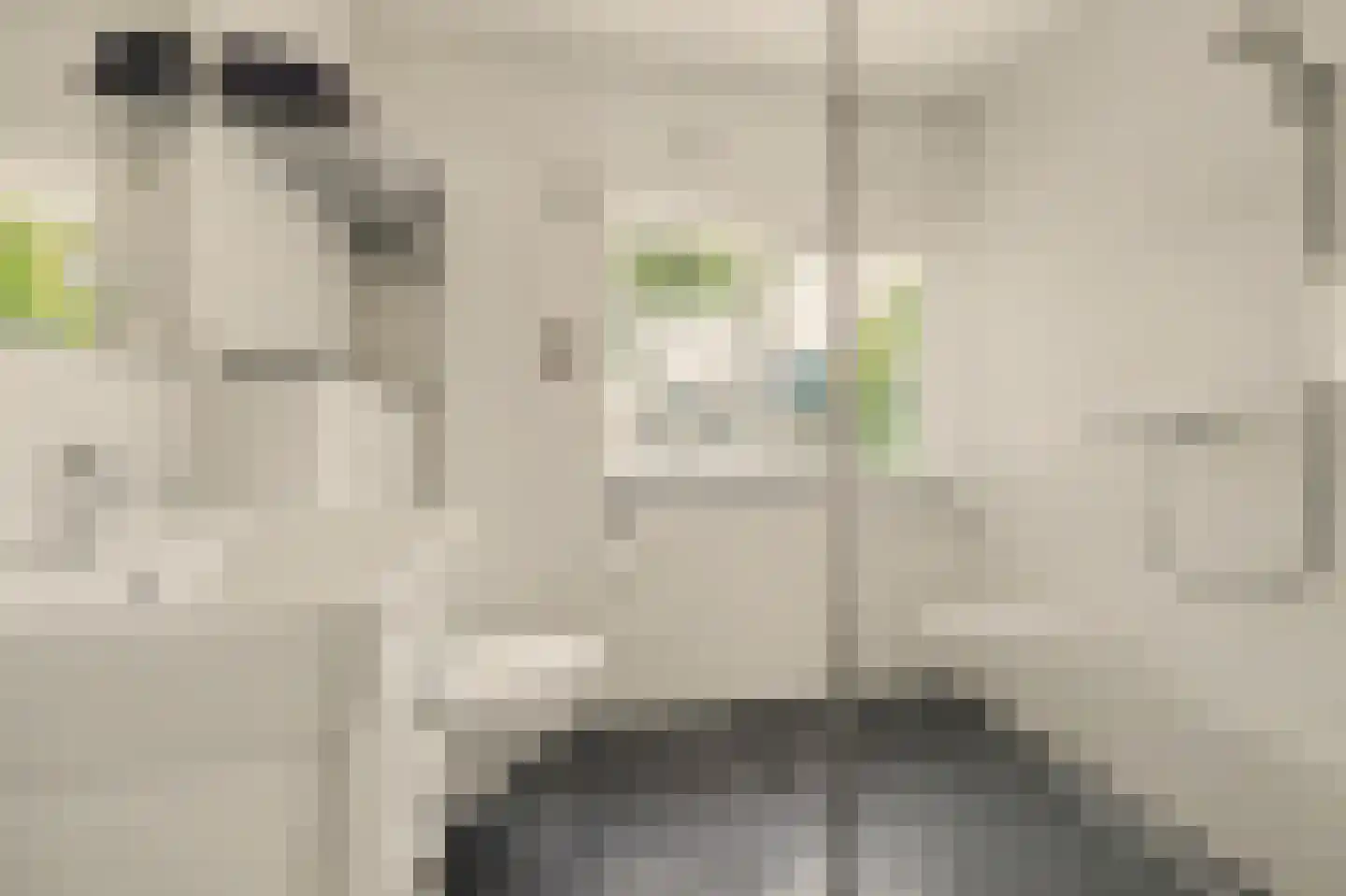 Ripstraat 4 Kamperland thumbnail 18