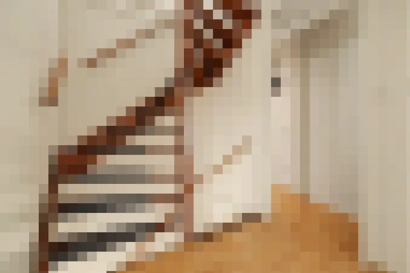Ripstraat 4 Kamperland thumbnail 20