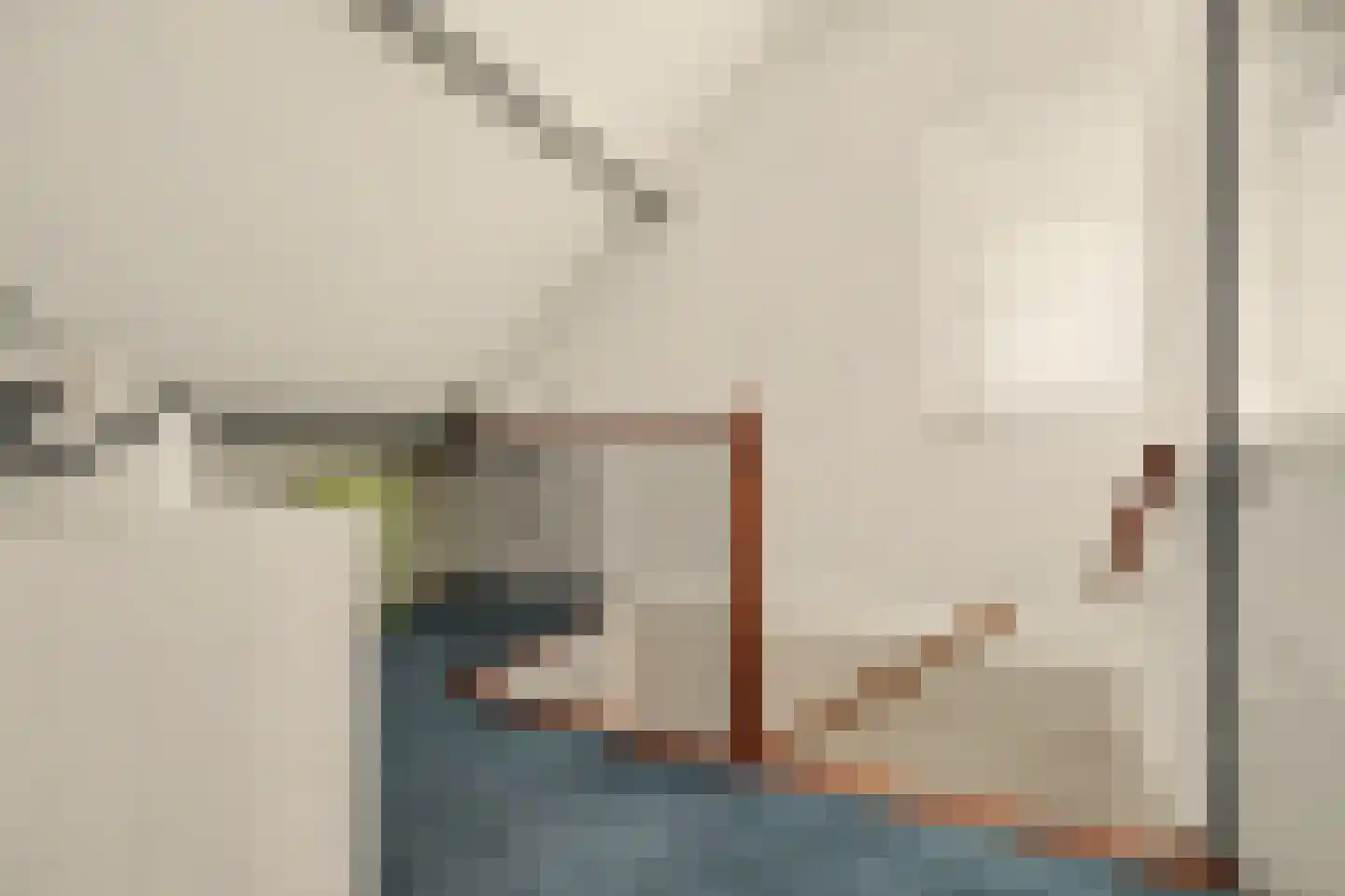 Ripstraat 4 Kamperland thumbnail 21