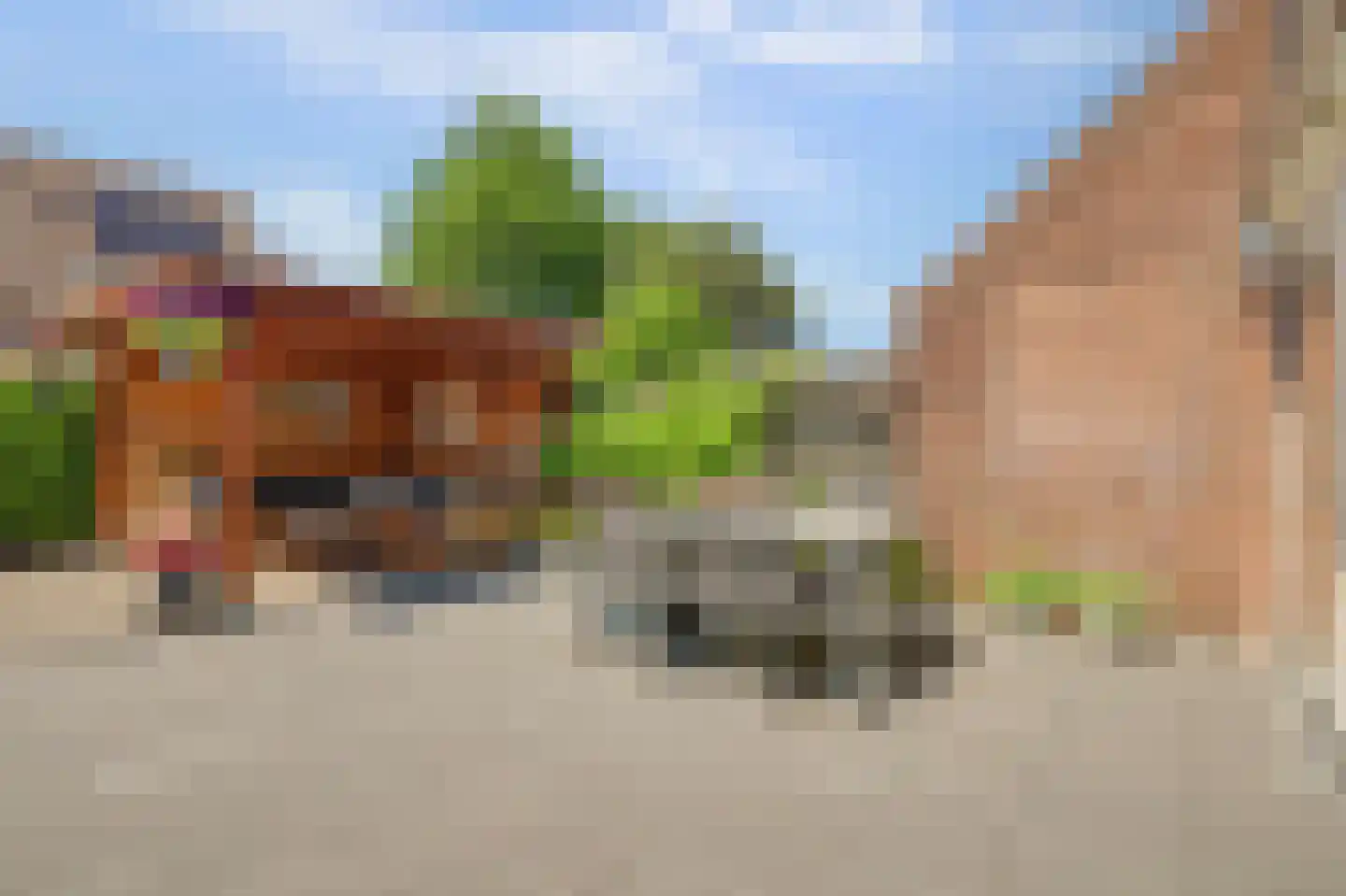 Ripstraat 4 Kamperland thumbnail 28