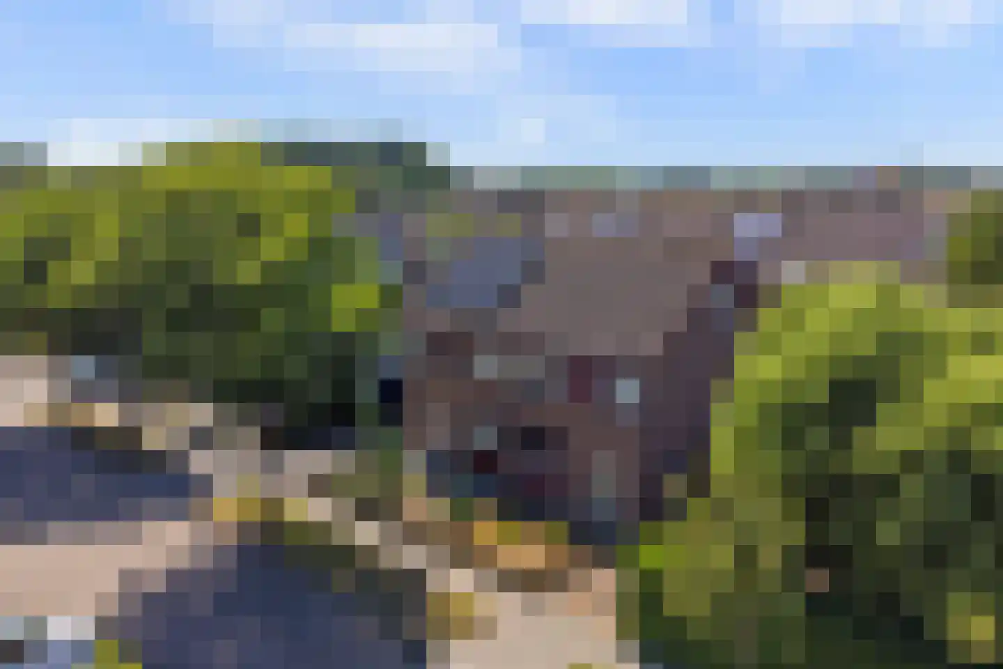 Ripstraat 4 Kamperland thumbnail 31