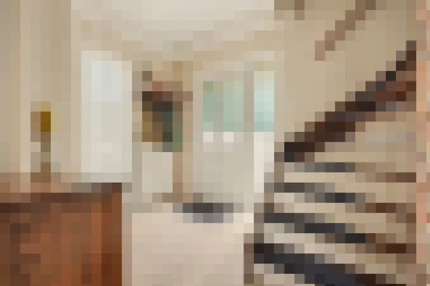 Ripstraat 4 Kamperland thumbnail 5