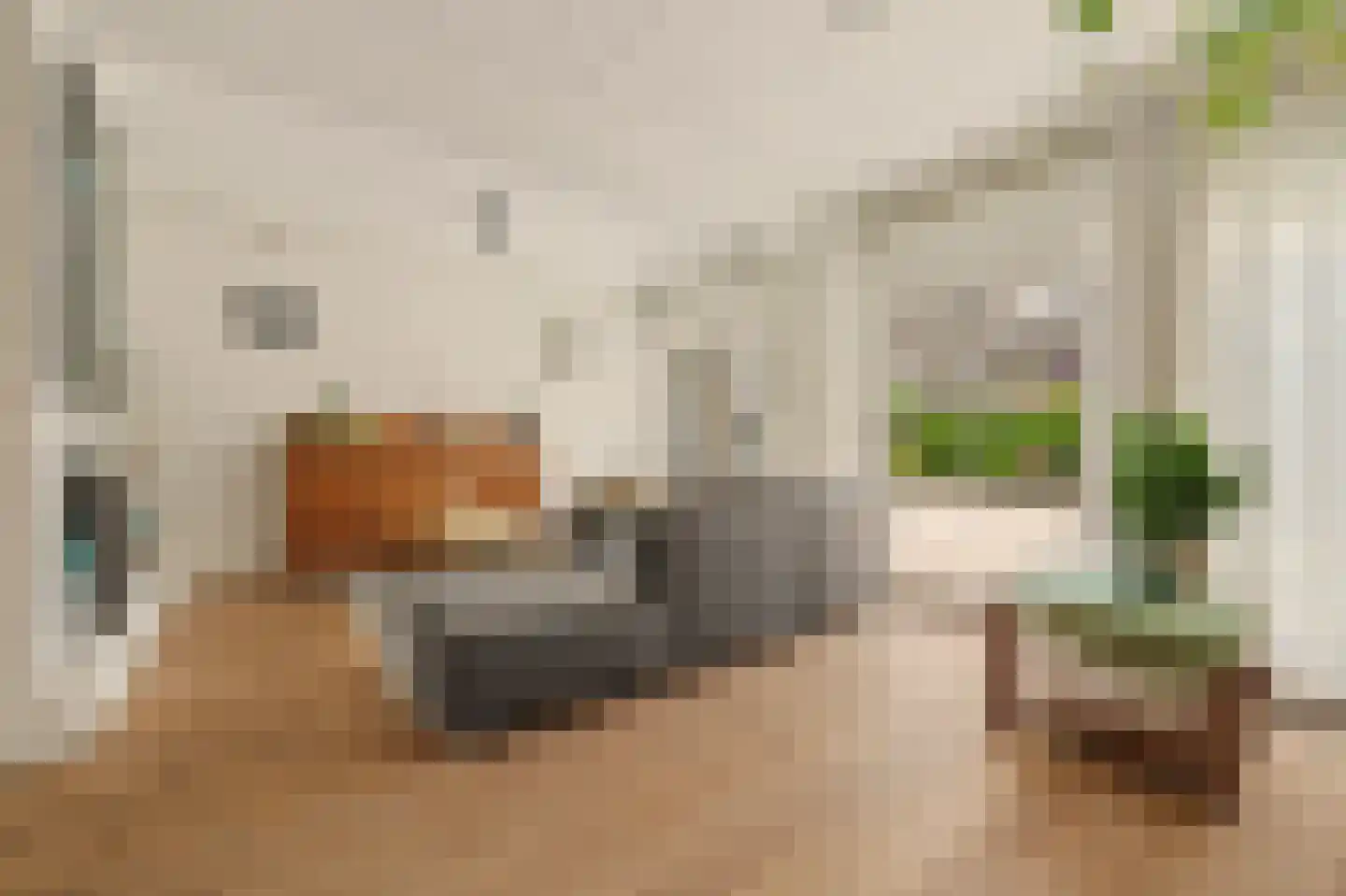 Ripstraat 4 Kamperland thumbnail 7