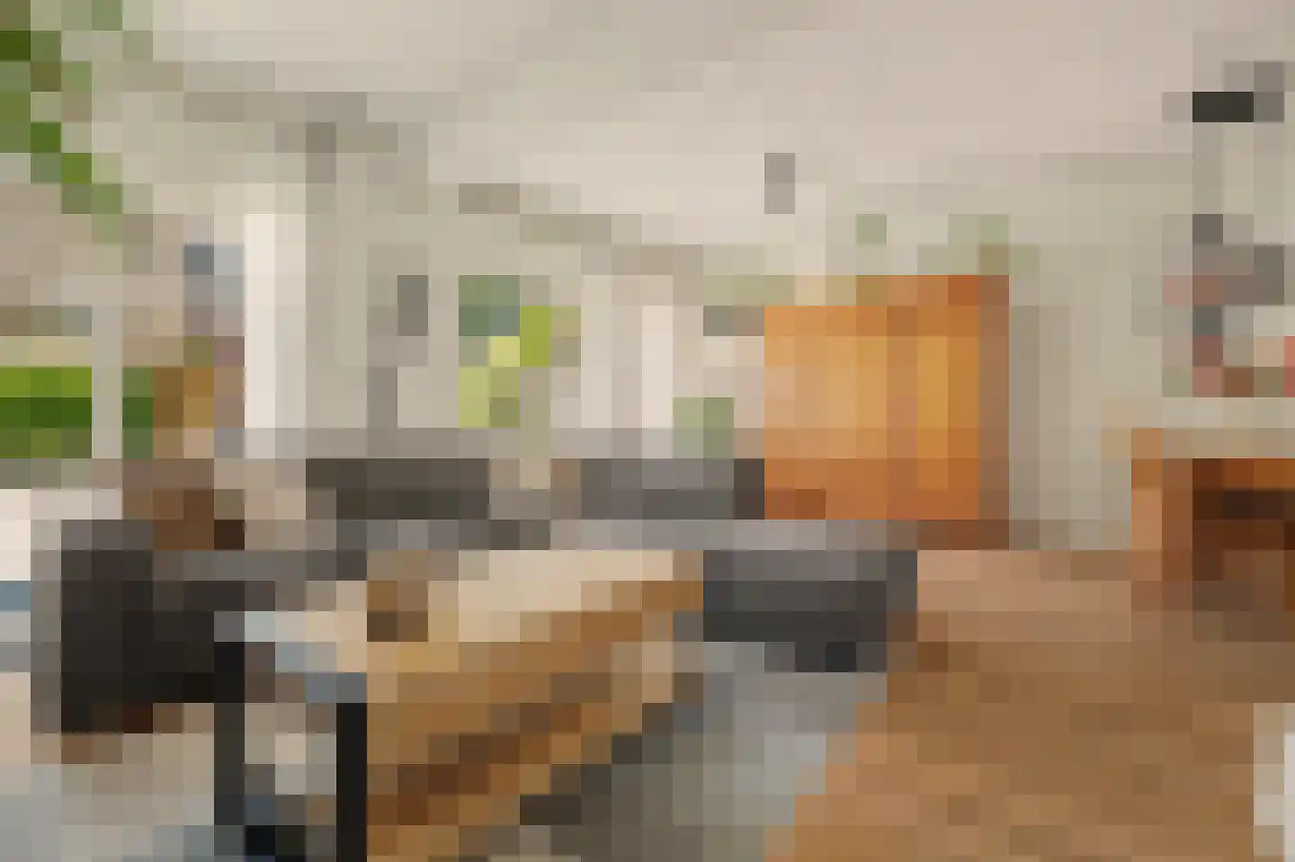 Ripstraat 4 Kamperland thumbnail 8