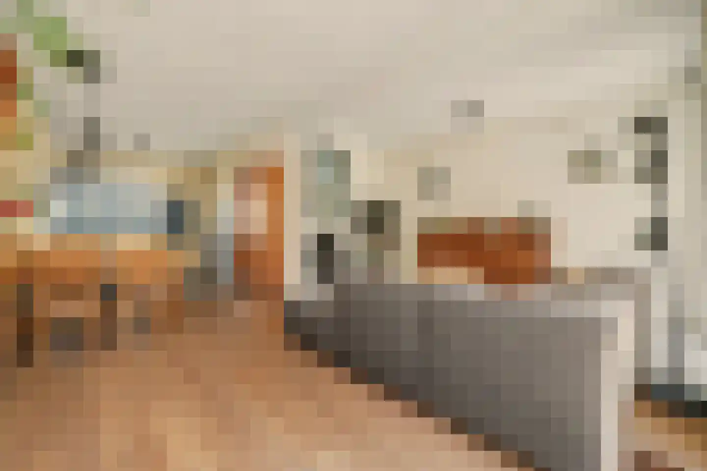 Ripstraat 4 Kamperland thumbnail 9