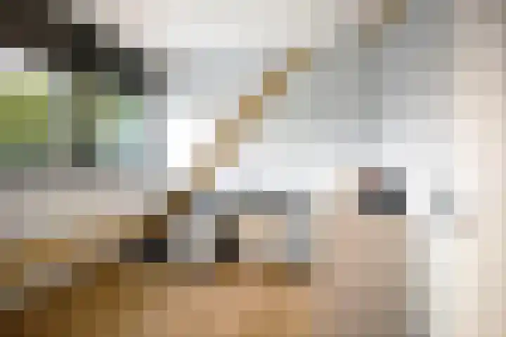 Rispensstraat 2 Deventer thumbnail 37