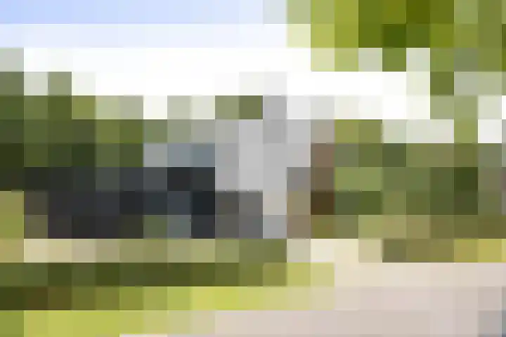 Rispensstraat 2 Deventer thumbnail 51