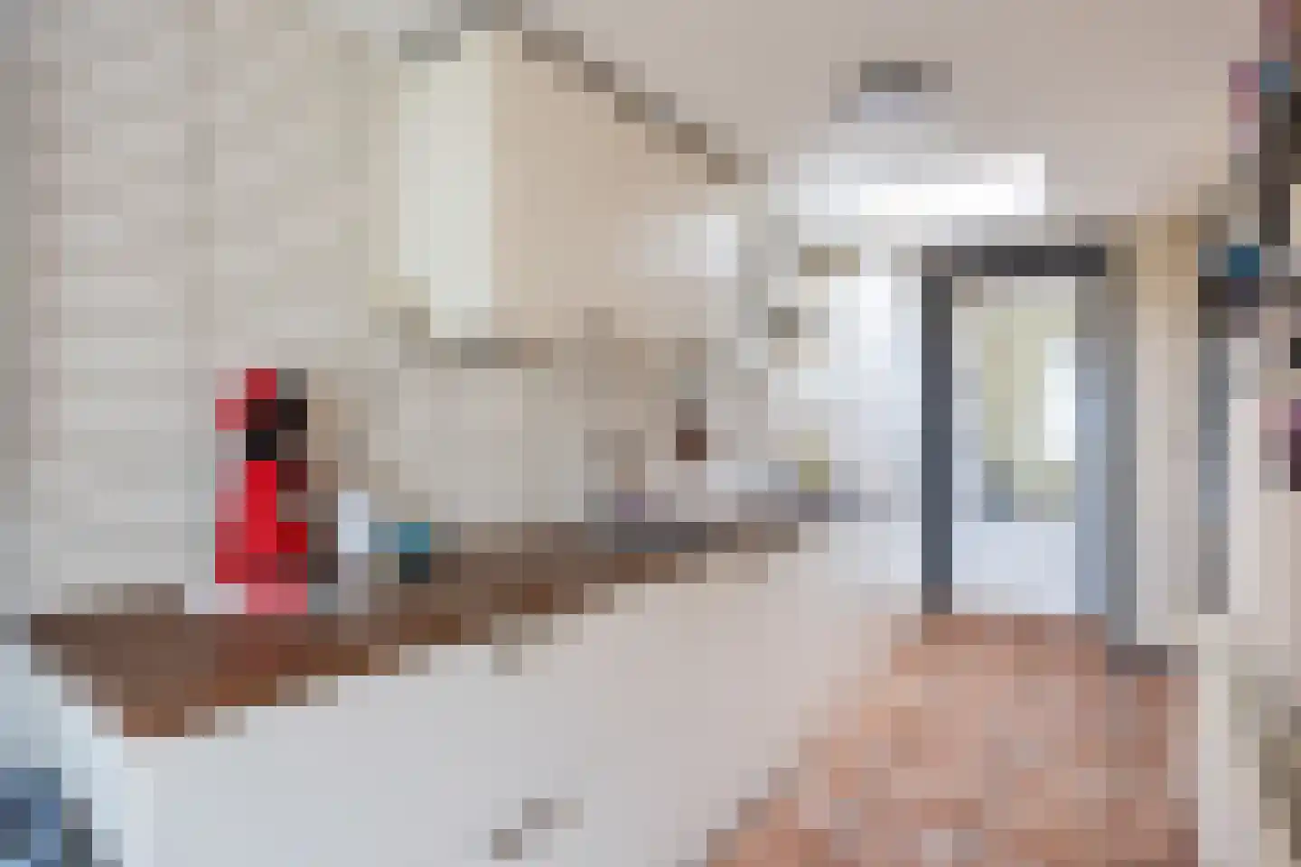 Rispinge 9 Minnertsga foto 3