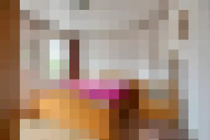 Risten 35 Rijsbergen thumbnail 17