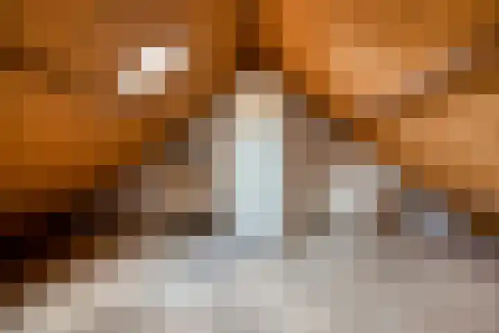 Risten 35 Rijsbergen thumbnail 24