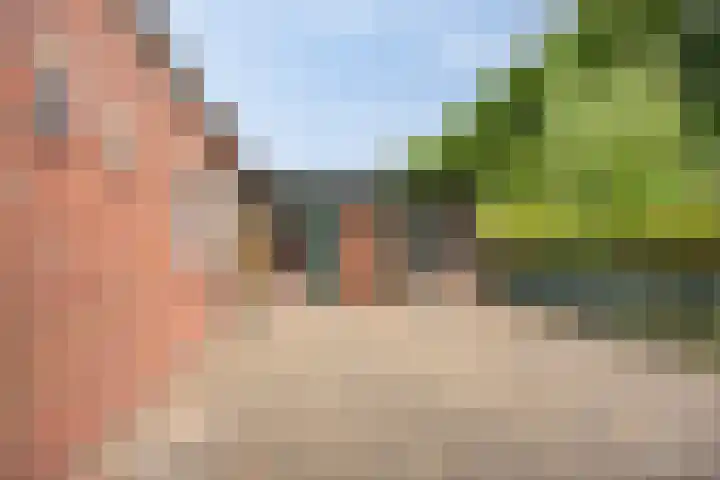 Risten 35 Rijsbergen thumbnail 27