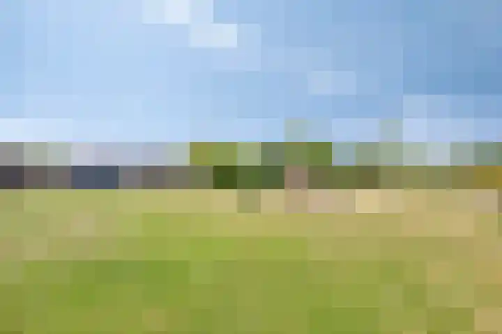 Risten 35 Rijsbergen thumbnail 31