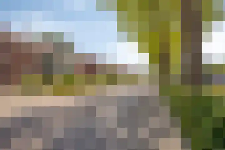 Risten 35 Rijsbergen thumbnail 32