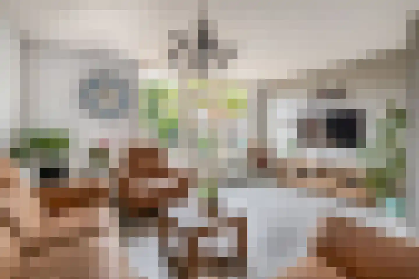 Ristervoorde 14 Spijkenisse thumbnail 15