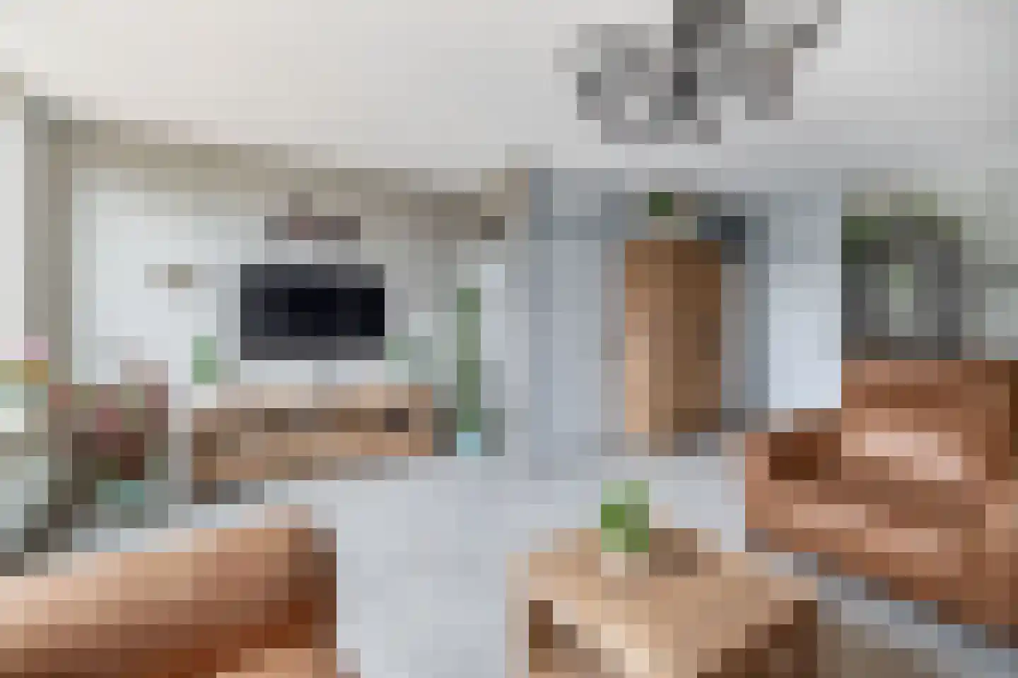 Ristervoorde 14 Spijkenisse thumbnail 17