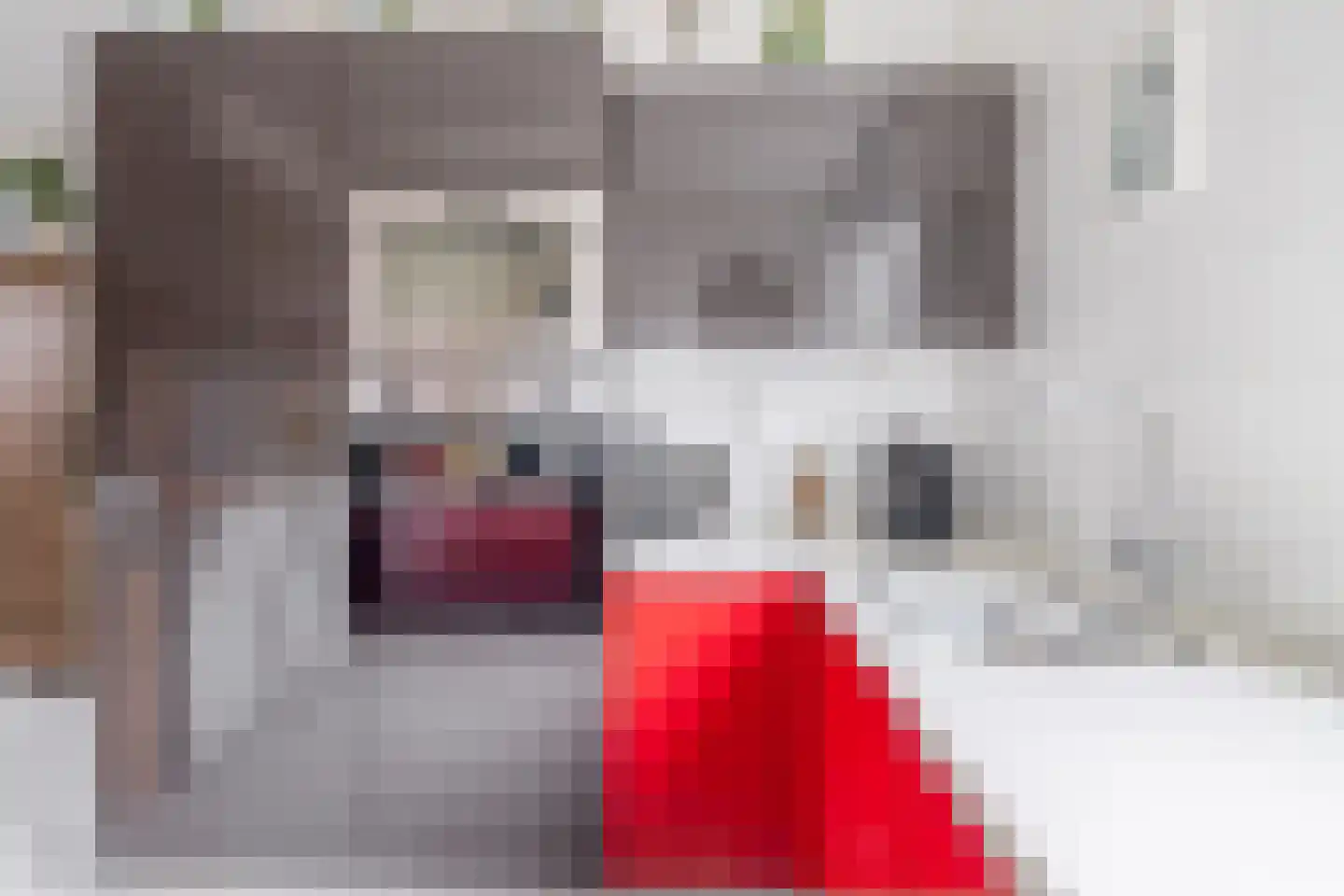 Ristervoorde 14 Spijkenisse thumbnail 22