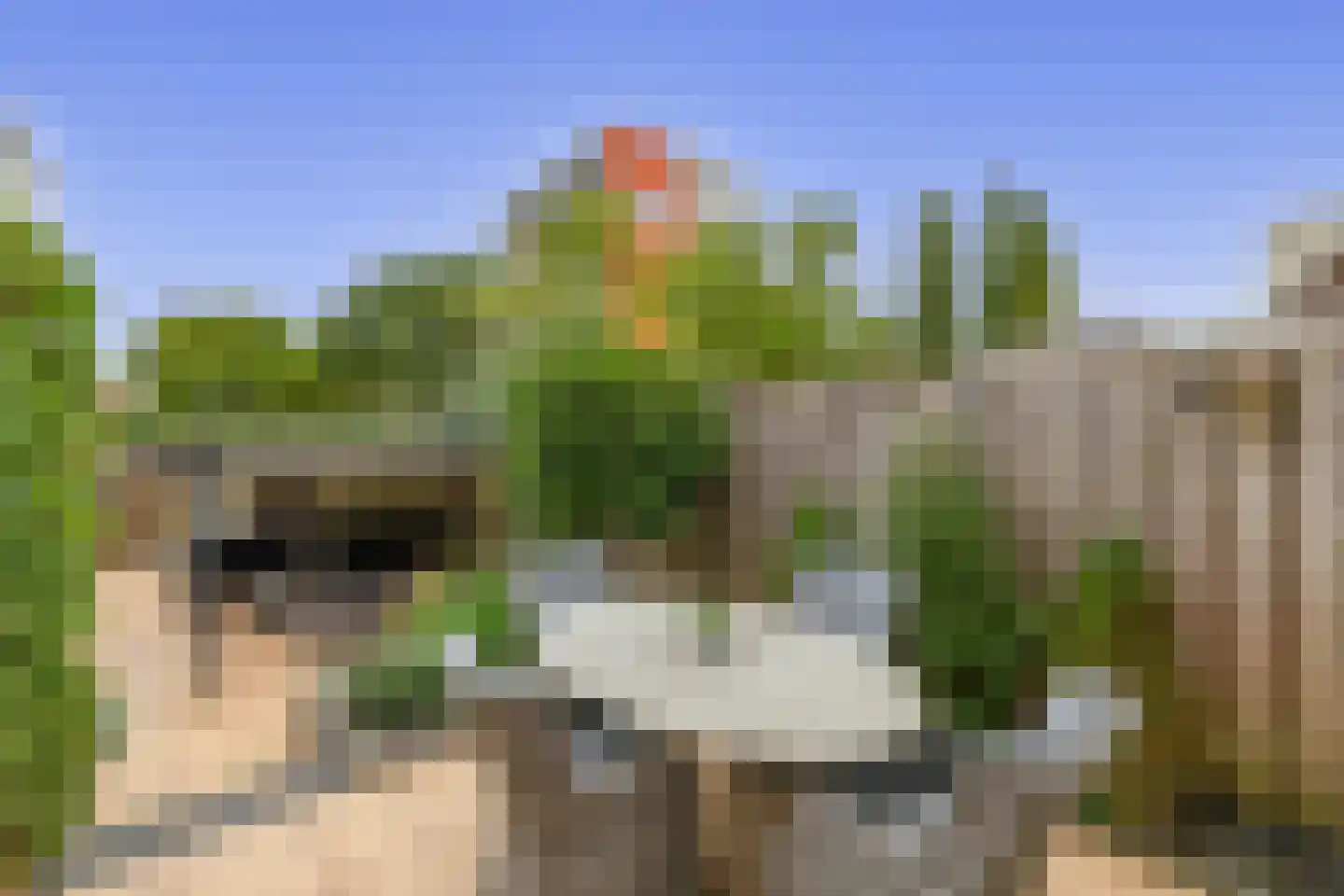 Ristervoorde 14 Spijkenisse thumbnail 24